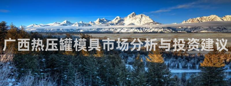emc低频不过：广西热压罐模具市场分析与投资建议