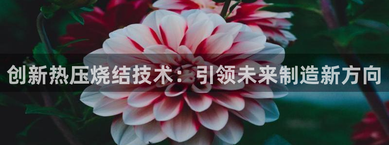 emc低频不过：创新热压烧结技术：引领未来制造新方向