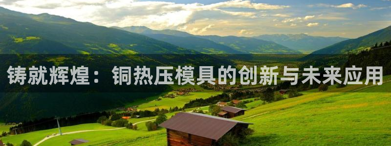 易倍网络技术有限公司：铸就辉煌：铜热压模具的创新与未来应