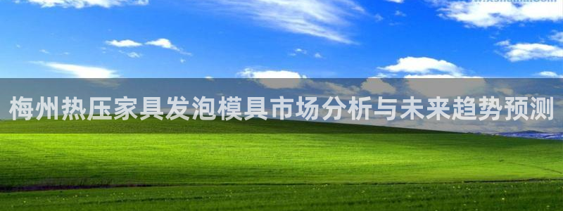 emc服务器是什么：梅州热压家具发泡模具市场分析与未来趋