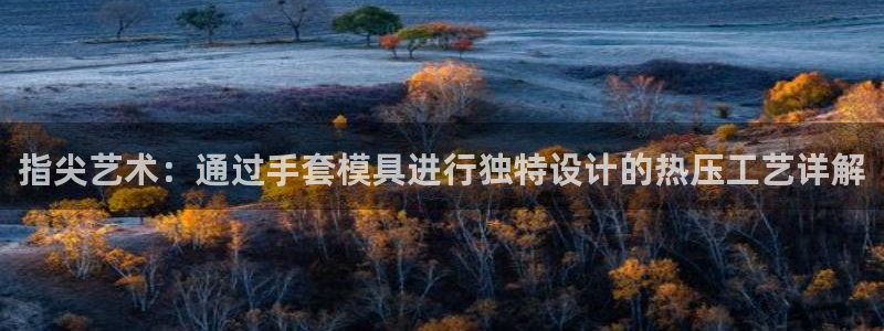 emc易赔：指尖艺术：通过手套模具进行独特设计的热压工艺