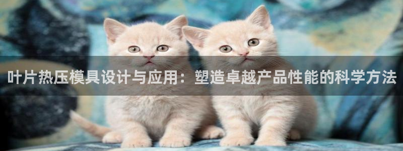 emc易倍登录：叶片热压模具设计与应用：塑造卓越产品性能