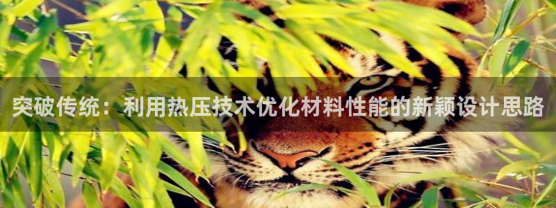 易倍下载地址：突破传统：利用热压技术优化材料性能的新颖设