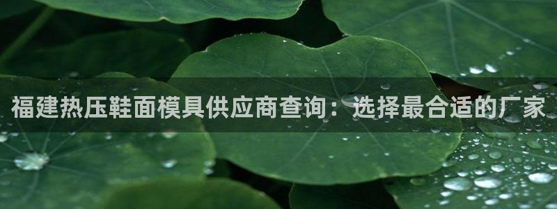 emc易倍出空款：福建热压鞋面模具供应商查询：选择最合适