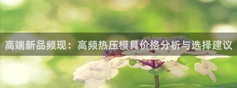 emc易倍平台：高端新品频现：高频热压模具价格分析与选择