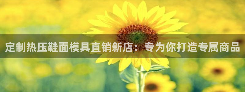 易倍emc安全吗：定制热压鞋面模具直销新店：专为你打造专