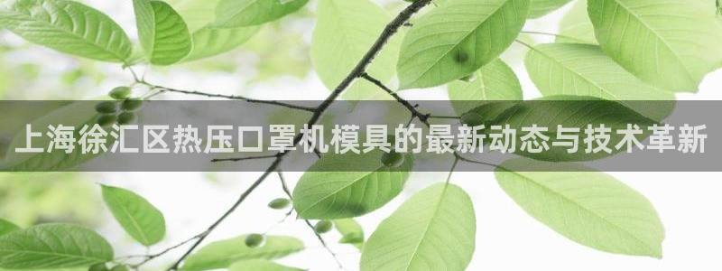 EMC易倍官网招聘：上海徐汇区热压口罩机模具的最新动态与