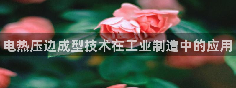 emc易倍在线登录：电热压边成型技术在工业制造中的应用