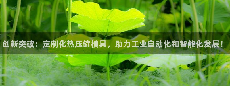 emc易倍官网app下载：创新突破：定制化热压罐模具，助
