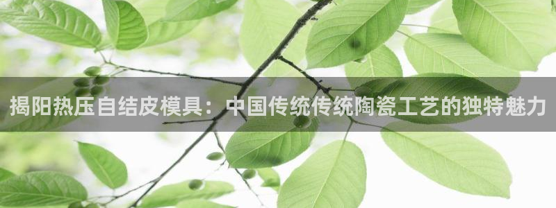 emcapp下载普通下载：揭阳热压自结皮模具：中国传统传