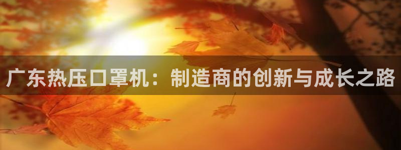 易倍申片：广东热压口罩机：制造商的创新与成长之路
