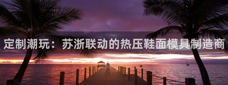 易倍纤能减肥吗：定制潮玩：苏浙联动的热压鞋面模具制造商