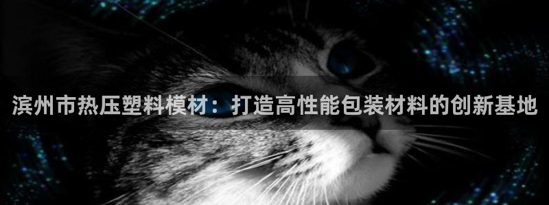 易倍申的副作用：滨州市热压塑料模材：打造高性能包装材料的