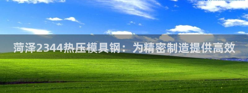 易倍易趣网：菏泽2344热压模具钢：为精密制造提供高效
