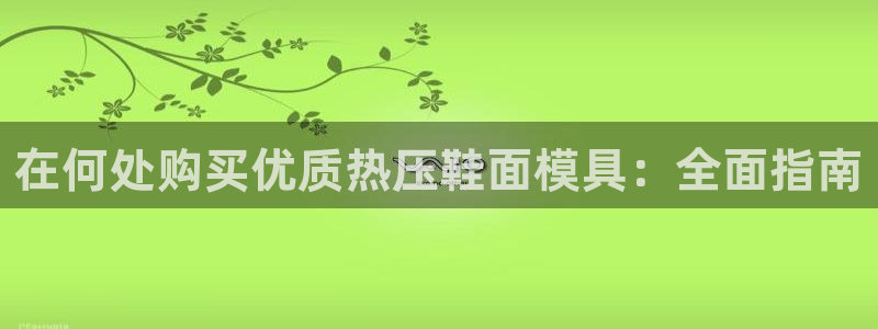 易倍纤代餐奶昔怎么样：在何处购买优质热压鞋面模具：全面指