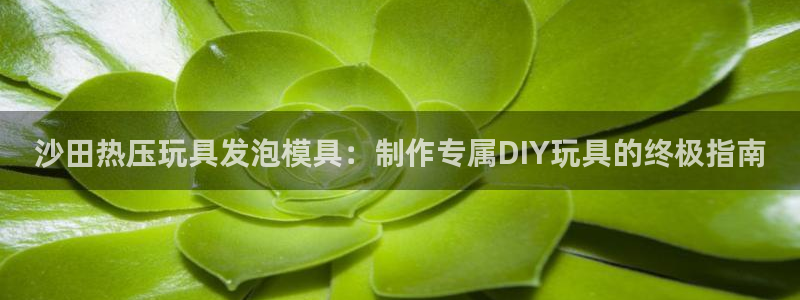 易倍单词登录平台:沙田热压玩具发泡模具:制作专属DIY玩