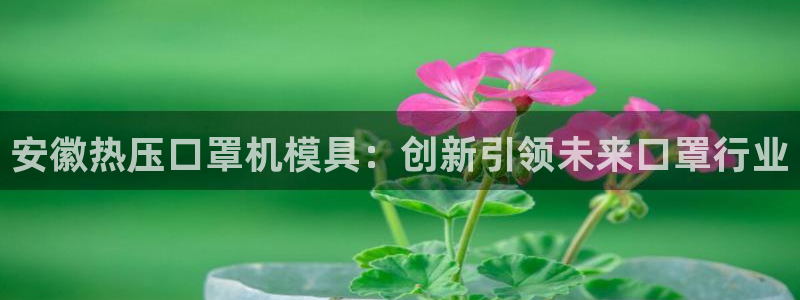 易倍app网站：安徽热压口罩机模具：创新引领未来口罩行业