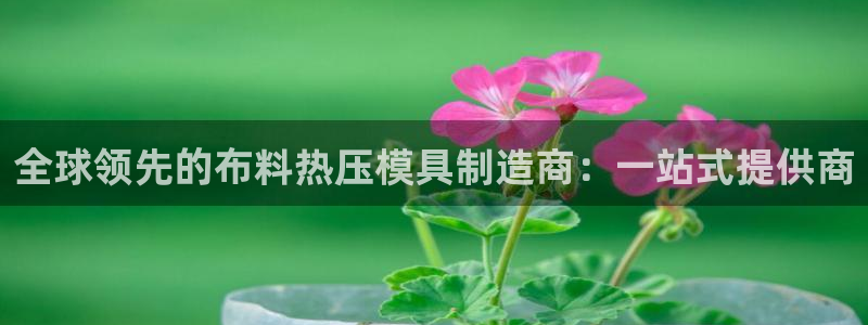 emc易倍首存500送球衣：全球领先的布料热压模具制造商