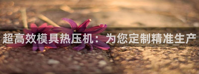 emc倍频：超高效模具热压机：为您定制精准生产