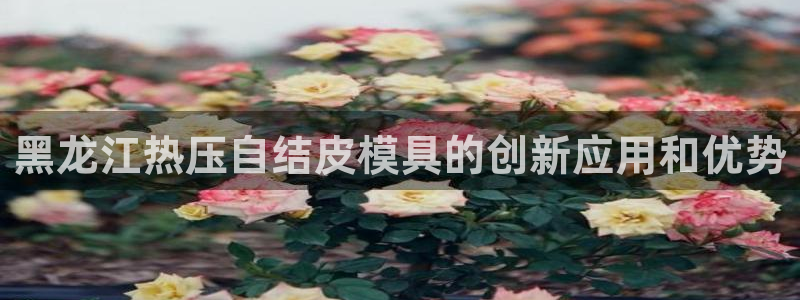 易倍单词官网下载