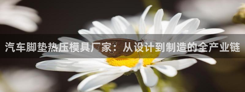 emc易倍首存500送球衣:汽车脚垫热压模具厂家:从设计
