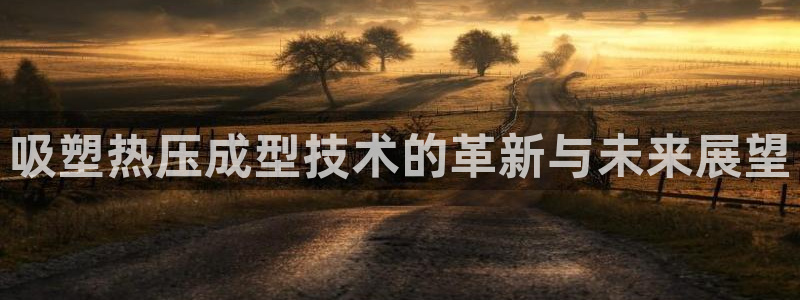 易倍申上市时间：吸塑热压成型技术的革新与未来展望