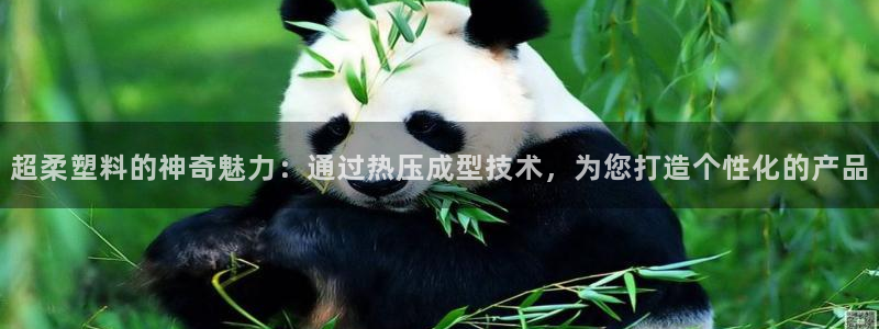 emcbet全站：超柔塑料的神奇魅力：通过热压成型技术，