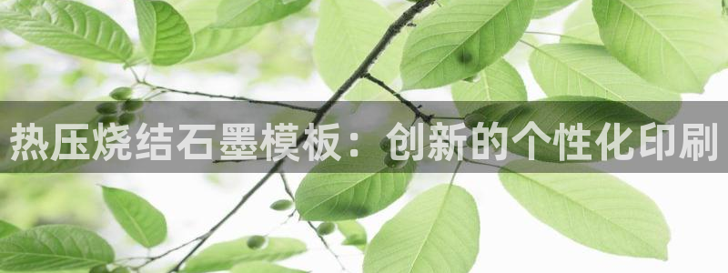 emc参数：热压烧结石墨模板：创新的个性化印刷