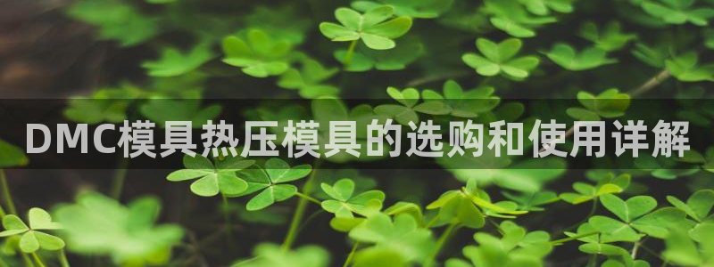 易倍思怎么样