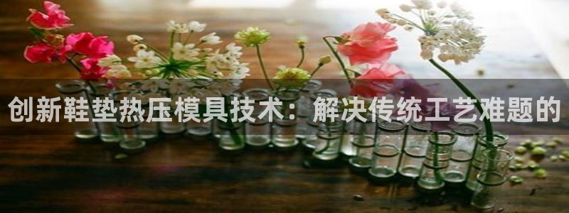 emc易倍官方:创新鞋垫热压模具技术:解决传统工艺难题的