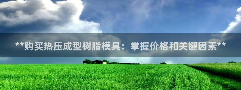 易倍网络技术有限公司怎么样：**购买热压成型树脂模具：掌