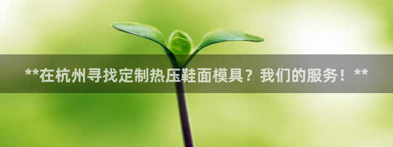 杭州易倍达上班怎么样：**在杭州寻找定制热压鞋面模具？我