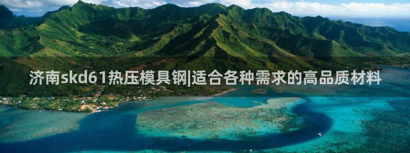易倍申医保报销：济南skd61热压模具钢|适合各种需求的