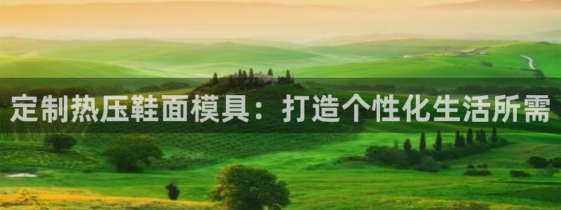emc易倍全站官网:定制热压鞋面模具:打造个性化生活所需