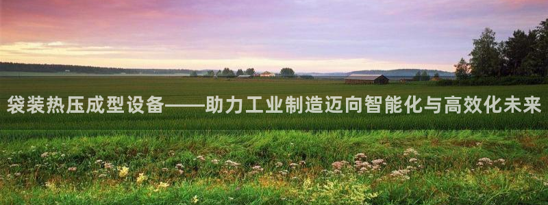 EMC易倍官方网址:袋装热压成型设备——助力工业制造迈向