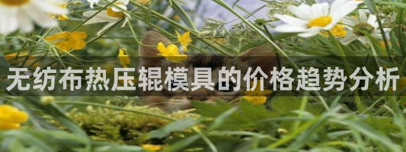 易倍科华生物科技有限公司：无纺布热压辊模具的价格趋势分析