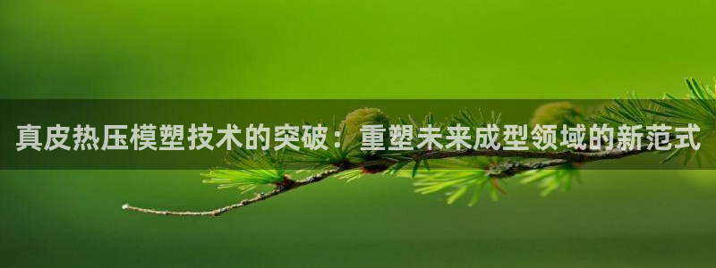 emc mcu：真皮热压模塑技术的突破：重塑未来成型领域