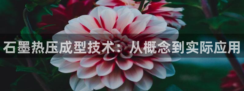 易倍网络技术有限公司官网：石墨热压成型技术：从概念到实际