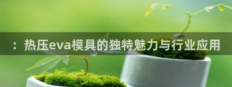 emc易倍官方平：：热压eva模具的独特魅力与行业应用