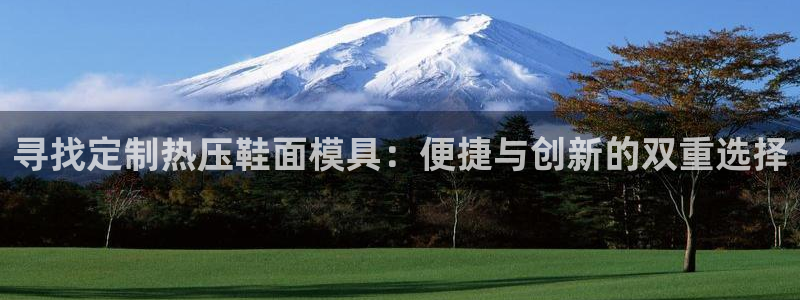 易倍申片：寻找定制热压鞋面模具：便捷与创新的双重选择