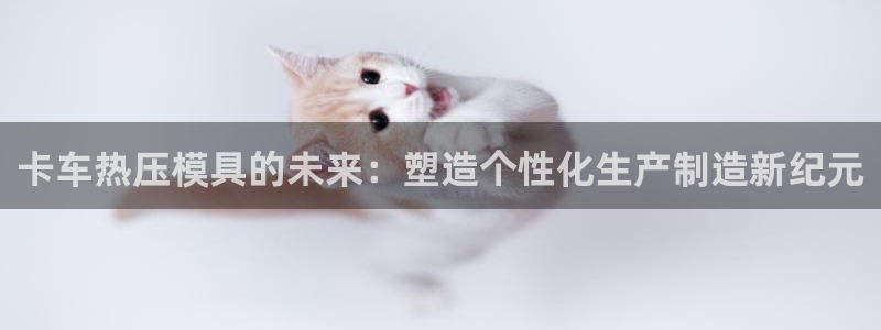 易倍申在中国成功上市：卡车热压模具的未来：塑造个性化生产