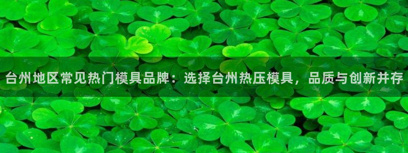 易倍纤官网：台州地区常见热门模具品牌：选择台州热压模具，