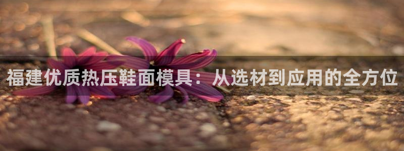 易倍单词官方网站的：福建优质热压鞋面模具：从选材到应用的