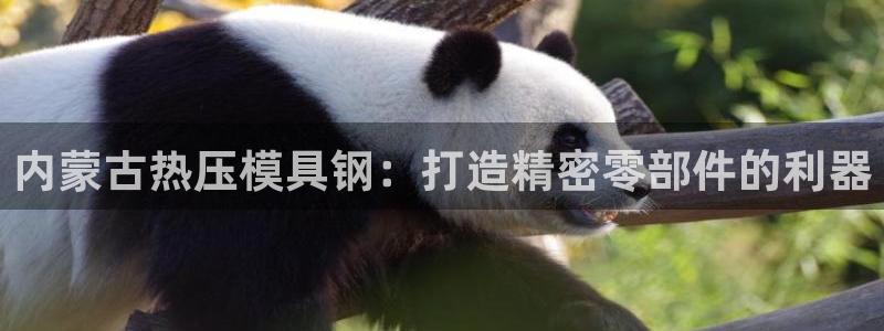 易倍网络技术有限公司是干嘛的