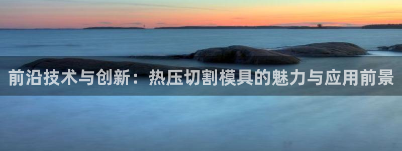 易倍纤酵素效果好吗：前沿技术与创新：热压切割模具的魅力与