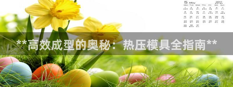 易倍单词登录平台:**高效成型的奥秘:热压模具全指南**