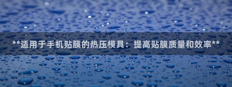 易倍企业管理软件：**适用于手机贴膜的热压模具：提高贴膜