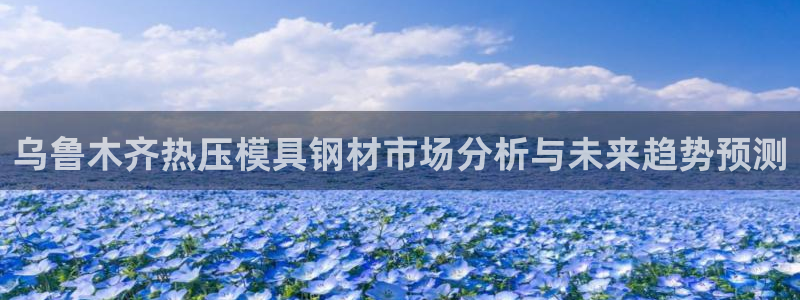 易倍纤减肥价格:乌鲁木齐热压模具钢材市场分析与未来趋势预