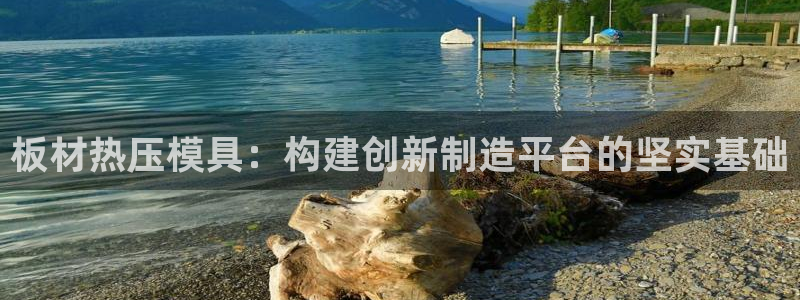 emc易倍官网登录首页：板材热压模具：构建创新制造平台的