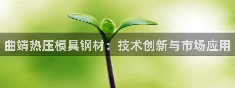 易倍下载地址:曲靖热压模具钢材:技术创新与市场应用